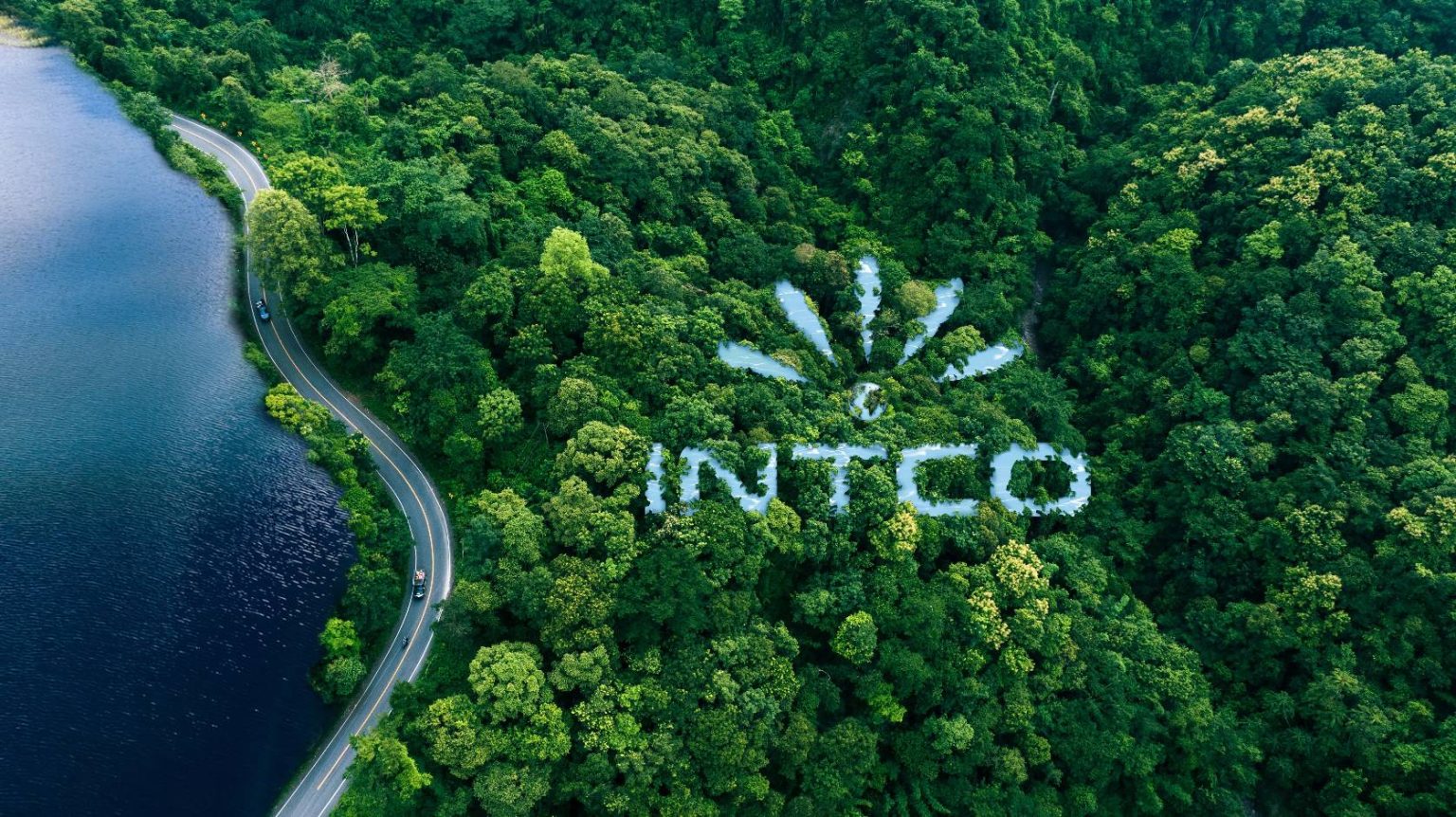 INTCO Medical 2024 ESG Report Highlights Sustainability and Industry Leadership