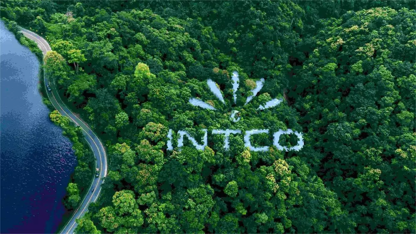 INTCO Medical Wins "2025 ESG Model Enterprise" Award for Sustainability