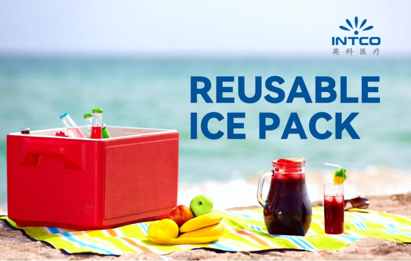 Ice Packs for Beach Picnic