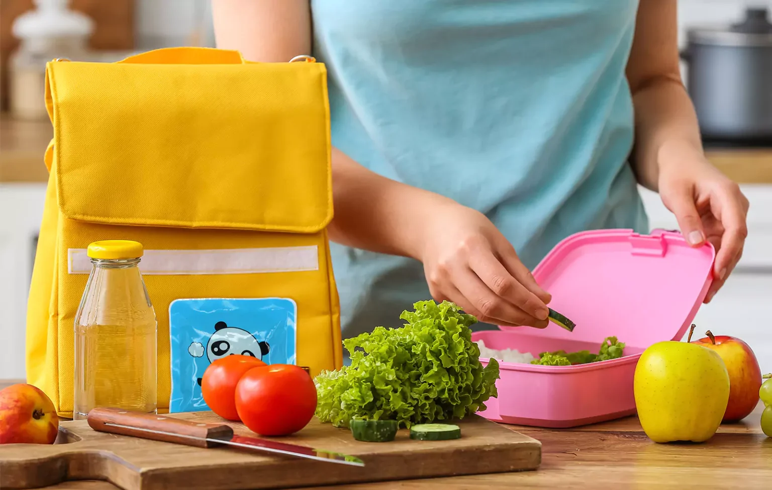 Ice Packs for Lunch Box Preservation