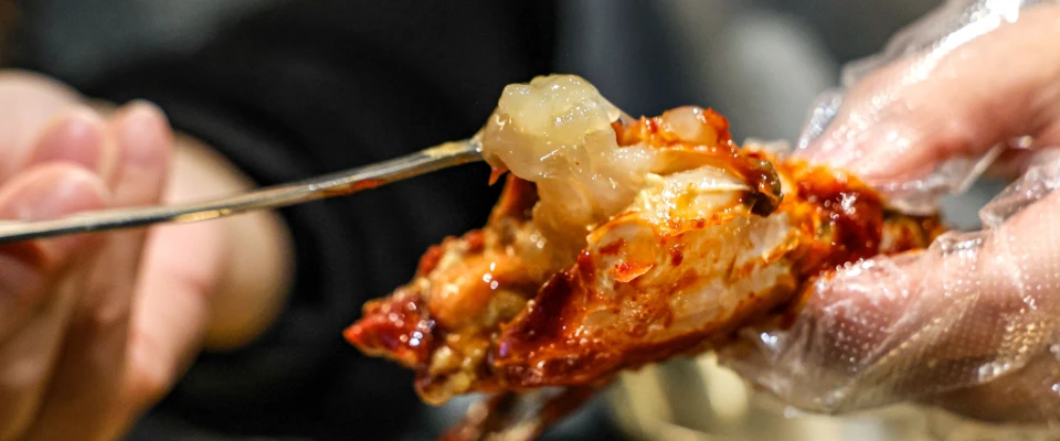 TPE Gloves: Why This Latex-Free Option Leads in Versatility and Safety TPE Gloves: Why This Latex-Free Option Leads in Versatility and Safety