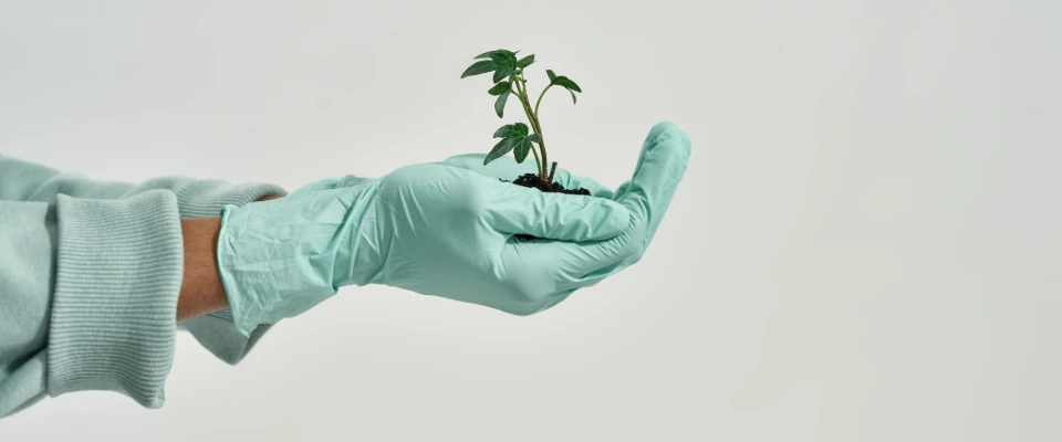 BIODEGRADABLE Nitrile (Exam) Gloves