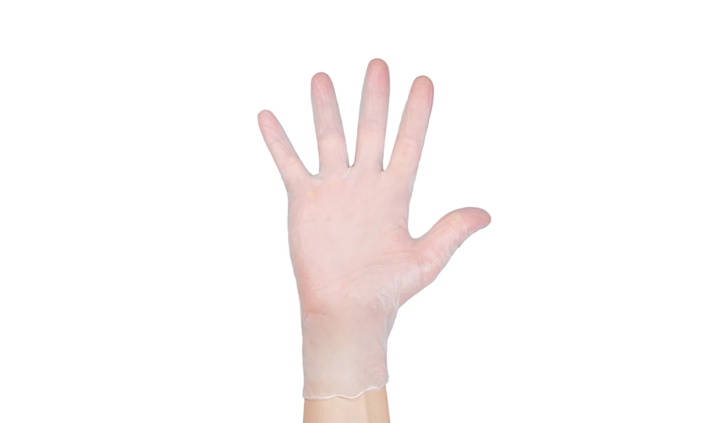 TouchFlex Ultra Vinyl Gloves TouchFlex Ultra Vinyl Gloves