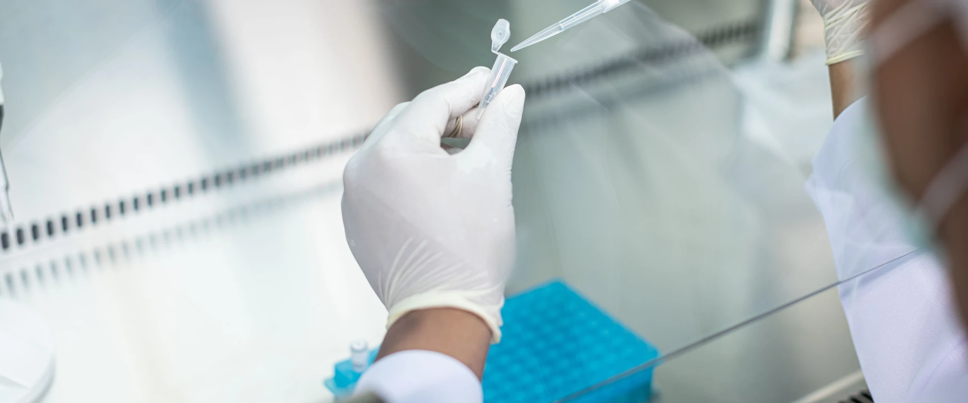 INTCO Medical Highlights Global Growth and Innovation Milestones in 2025