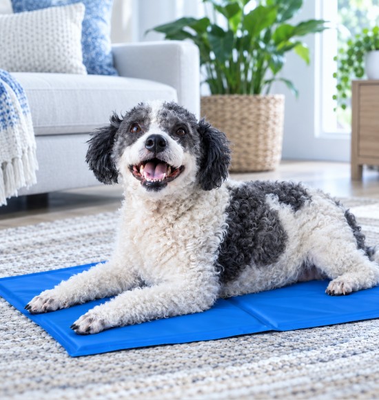 PetCare by INTCO Medical
