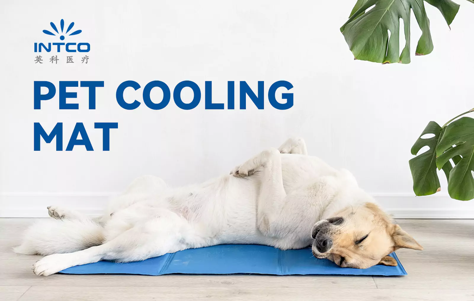 Essential Guide to Choosing the Best Pet Cooling Mat for Your Dog or Cat