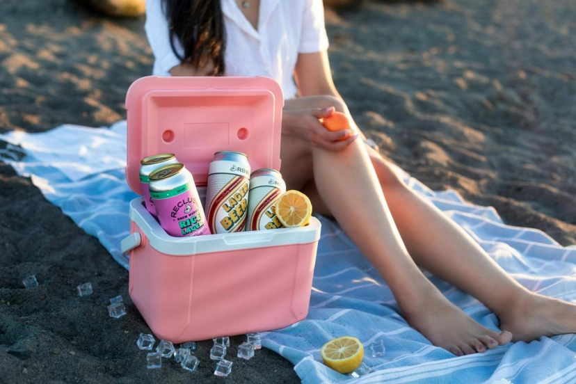 the Best Freezer Blocks for Cooler Bags