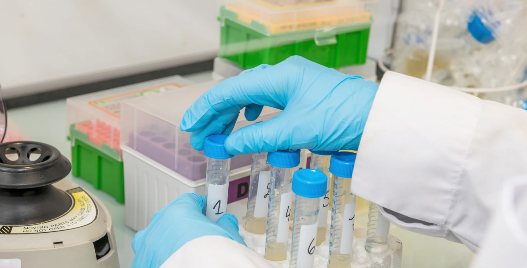 Nitrile vs Neoprene Gloves: Choosing the Right Hand Protection for Every Industry