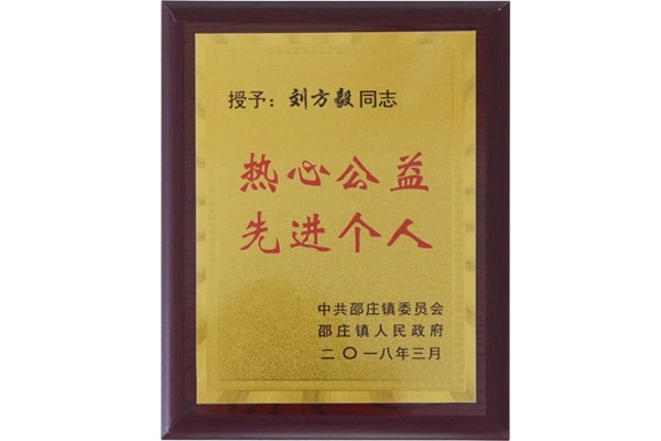 Advanced Individual in Public Welfare and Philanthropy