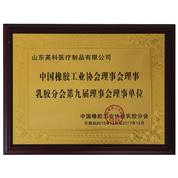 Council Member of the China Rubber Industry Association